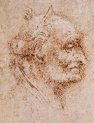 LEONARDO da Vinci Aurelio Luini attributed, profile of an old man china oil painting artist